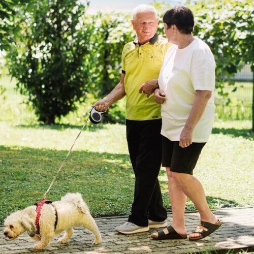 DSC_5051 copy 2 DSC_5051 copy 2